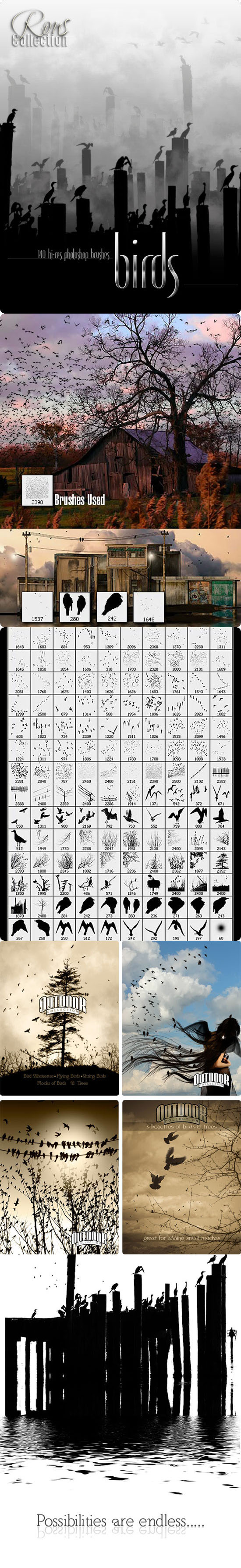 Rons 公司出品的高清飞鸟、鸟群、树木、电线杆等笔刷