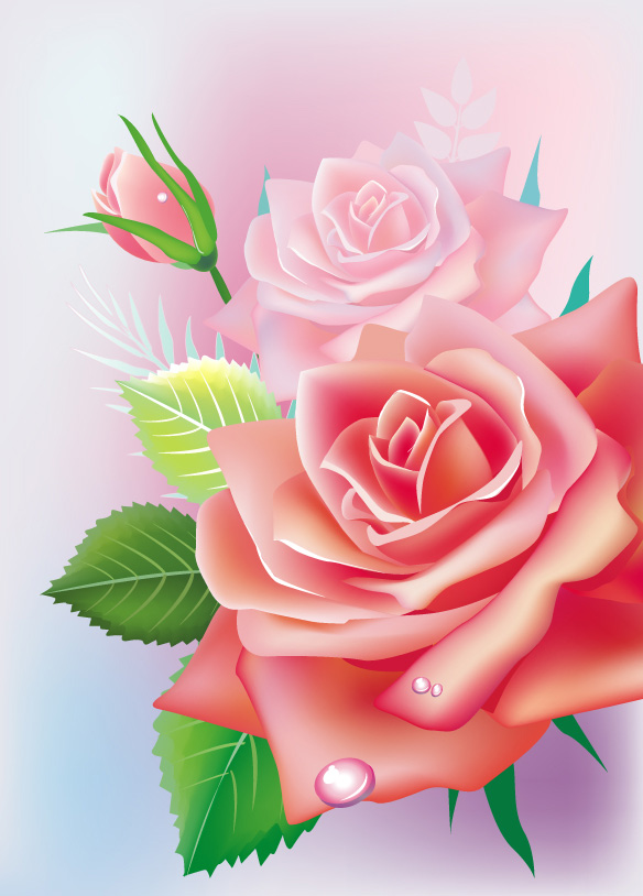 精美玫瑰花02——矢量素材