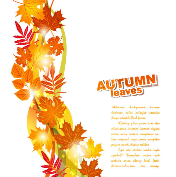 Beautiful autumn leaves background 02 - vector material