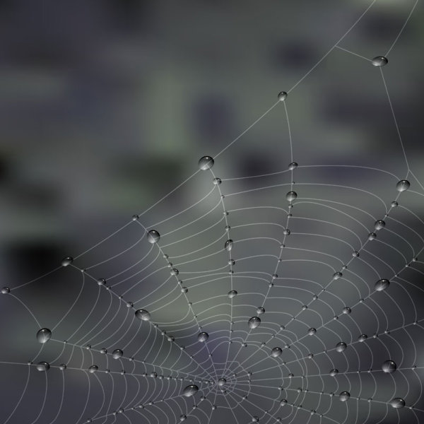 Dew cobweb 03 - vector material