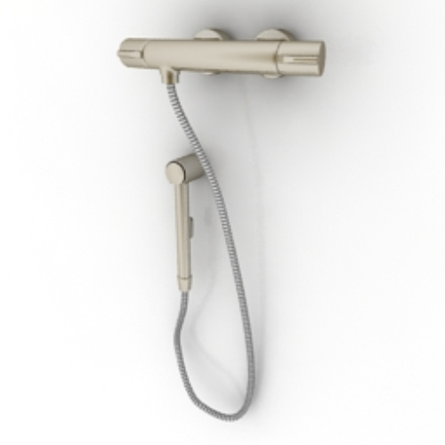 shower model
